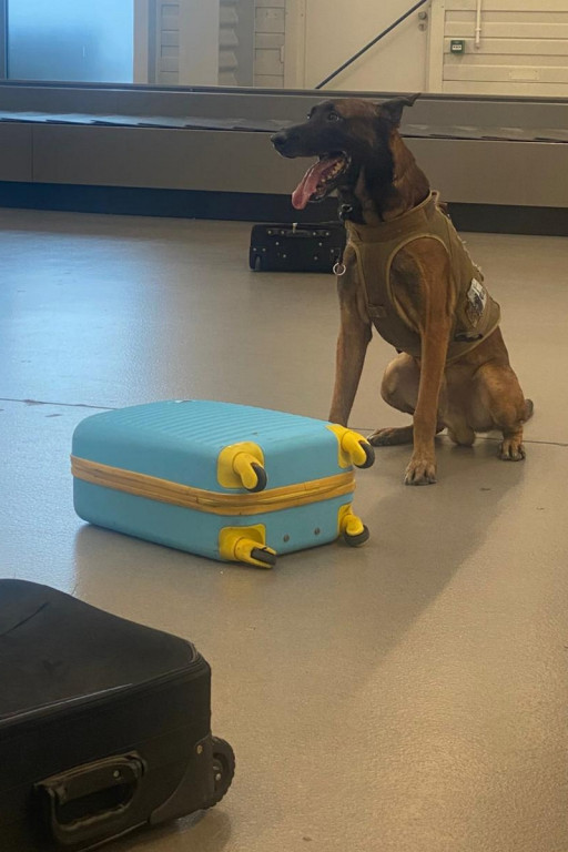 Katowice Airport. Komandosi z Lublińca i psy w akcji