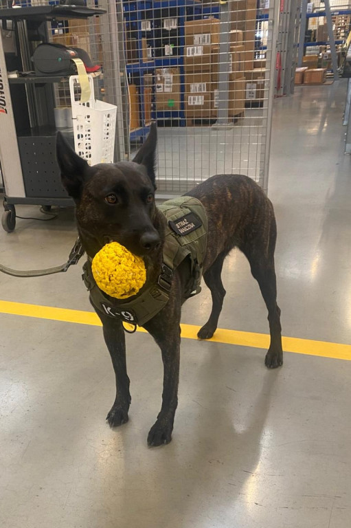 Katowice Airport. Komandosi z Lublińca i psy w akcji