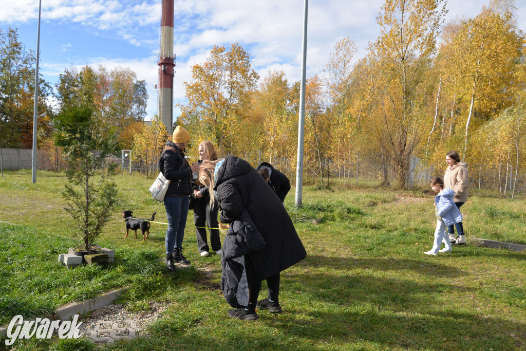 Tarnowskie Góry. Zwycięzcy do adopcji!
