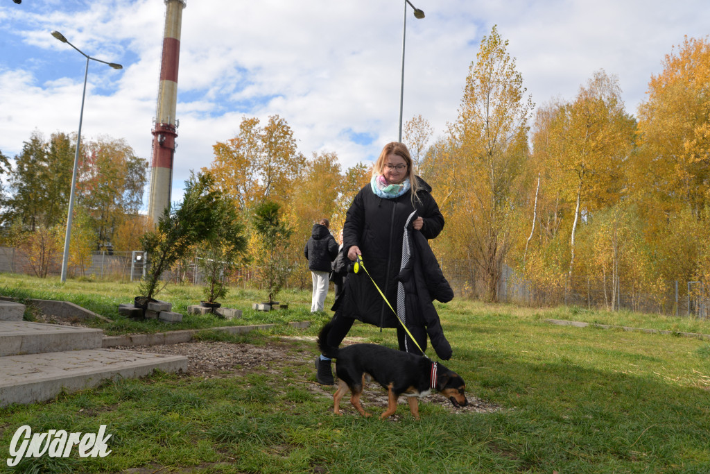 Tarnowskie Góry. Zwycięzcy do adopcji!