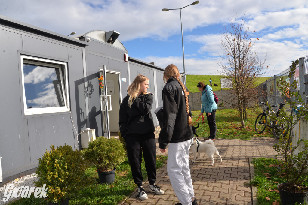 Tarnowskie Góry. Zwycięzcy do adopcji!