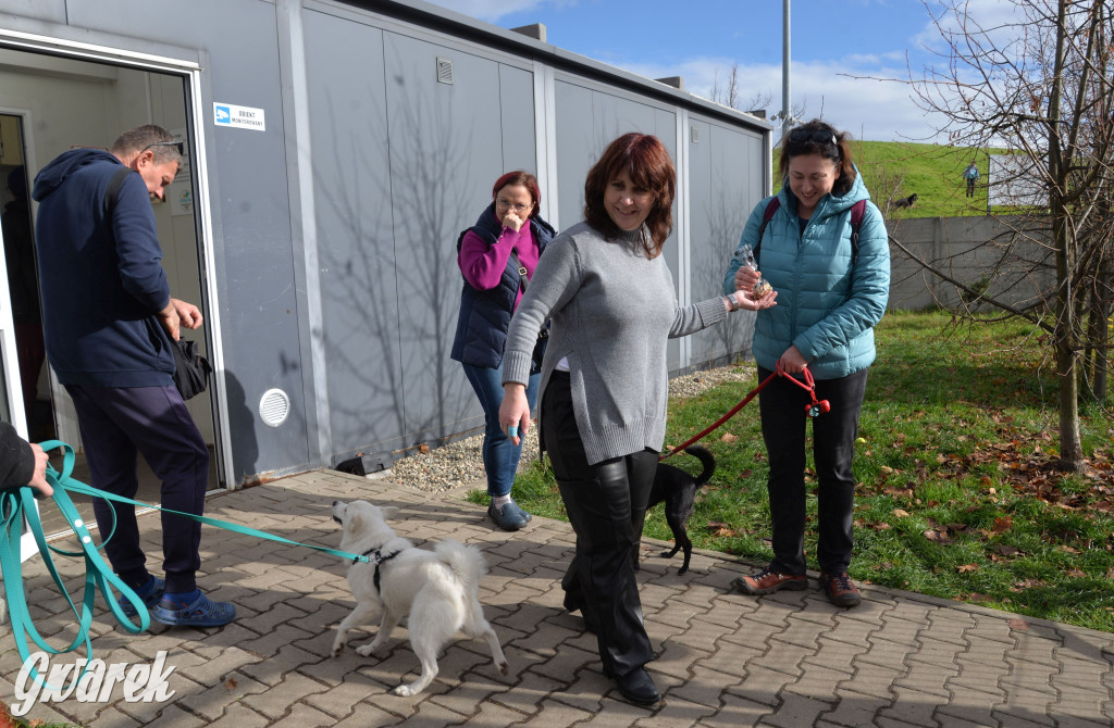 Tarnowskie Góry. Zwycięzcy do adopcji!