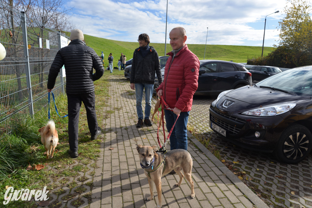 Tarnowskie Góry. Zwycięzcy do adopcji!