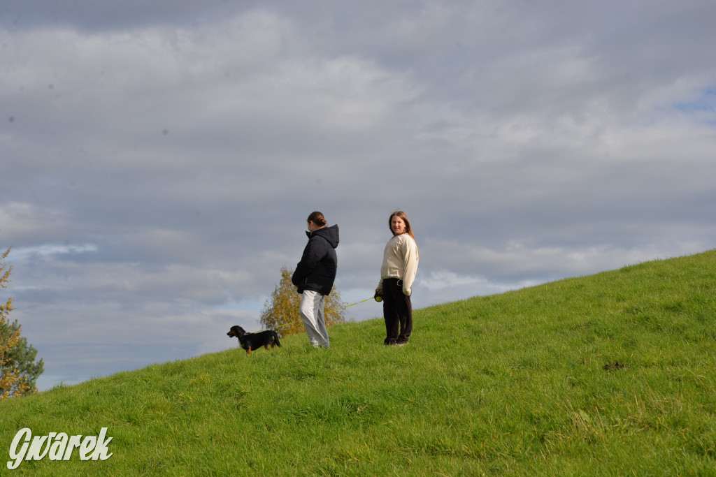 Tarnowskie Góry. Zwycięzcy do adopcji!