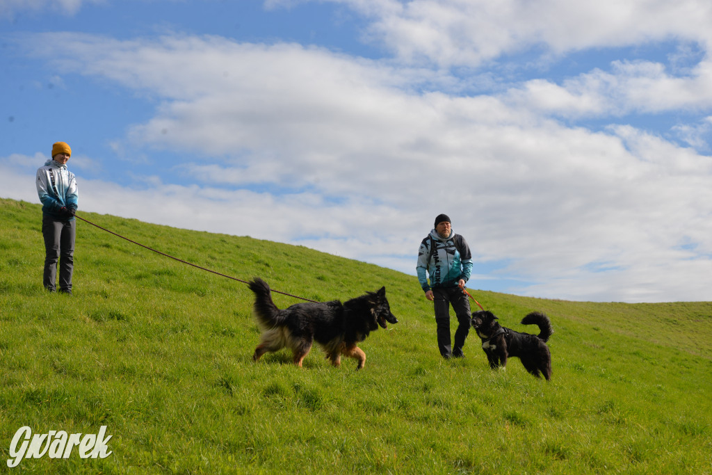 Tarnowskie Góry. Zwycięzcy do adopcji!