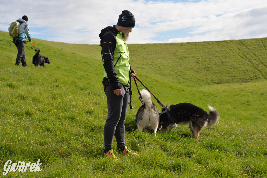Tarnowskie Góry. Zwycięzcy do adopcji!