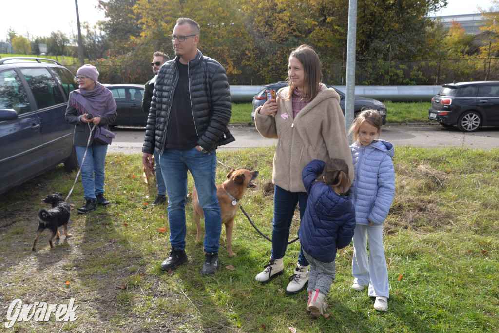 Tarnowskie Góry. Zwycięzcy do adopcji!
