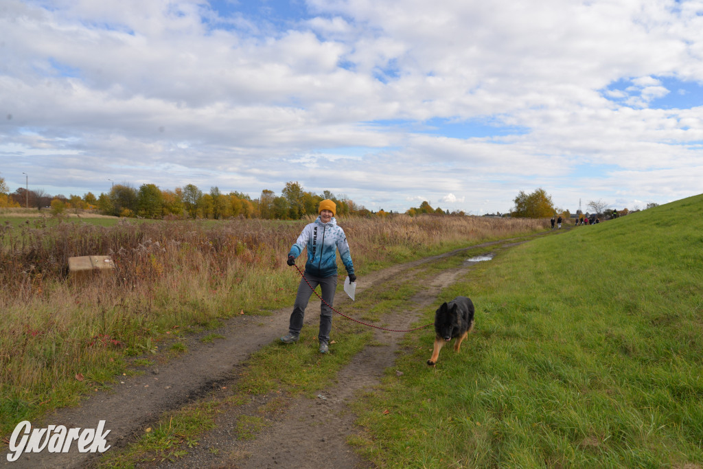 Tarnowskie Góry. Zwycięzcy do adopcji!