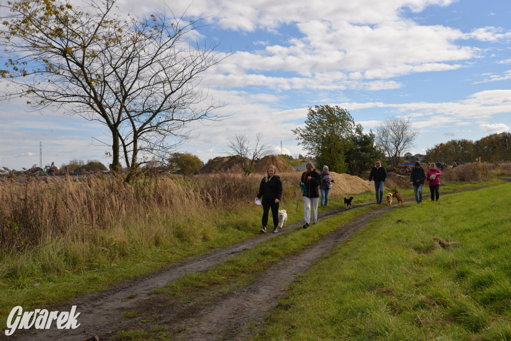 Tarnowskie Góry. Zwycięzcy do adopcji!