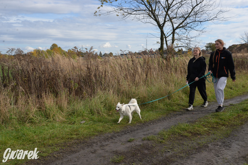 Tarnowskie Góry. Zwycięzcy do adopcji!
