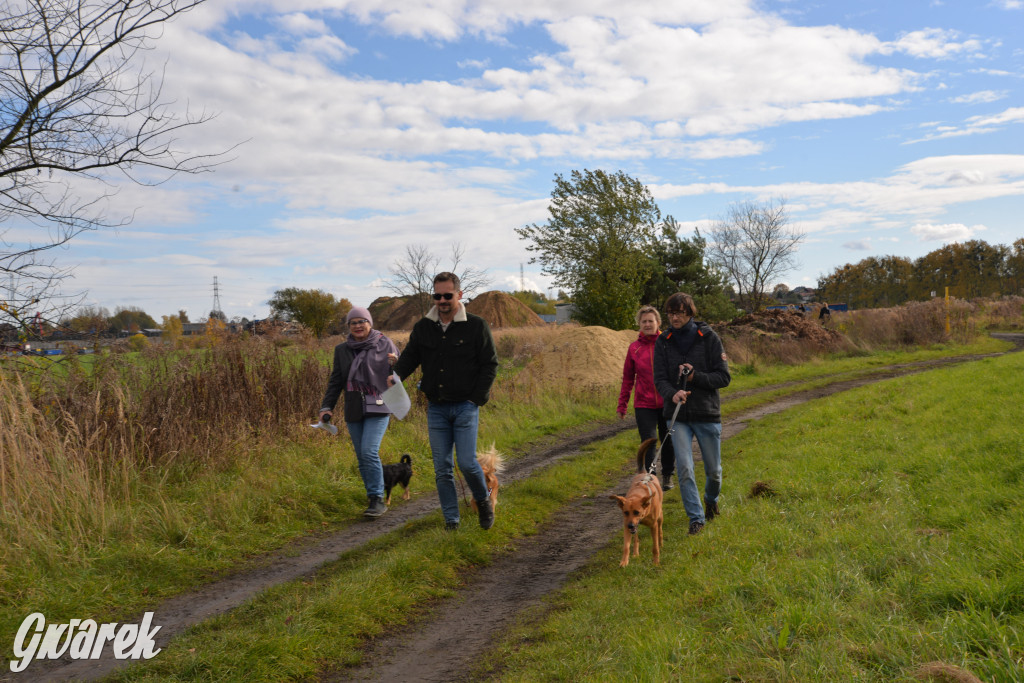 Tarnowskie Góry. Zwycięzcy do adopcji!