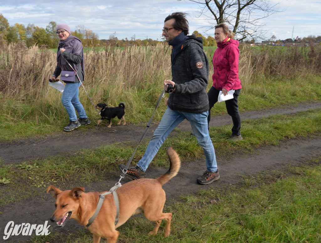 Tarnowskie Góry. Zwycięzcy do adopcji!