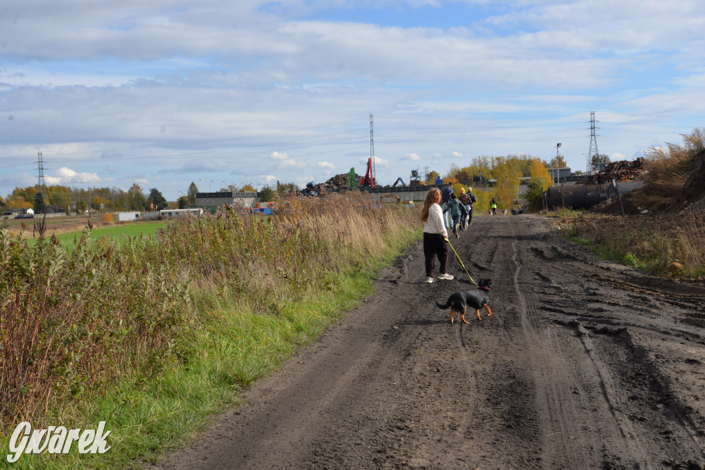 Tarnowskie Góry. Zwycięzcy do adopcji!