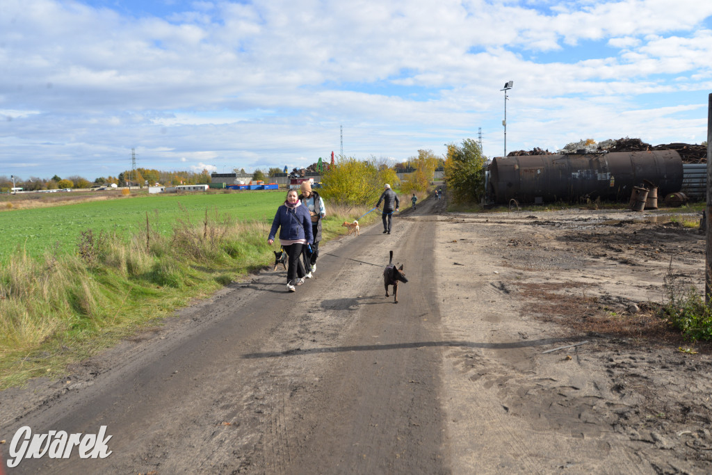 Tarnowskie Góry. Zwycięzcy do adopcji!