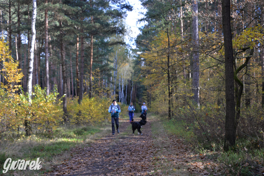 Tarnowskie Góry. Zwycięzcy do adopcji!
