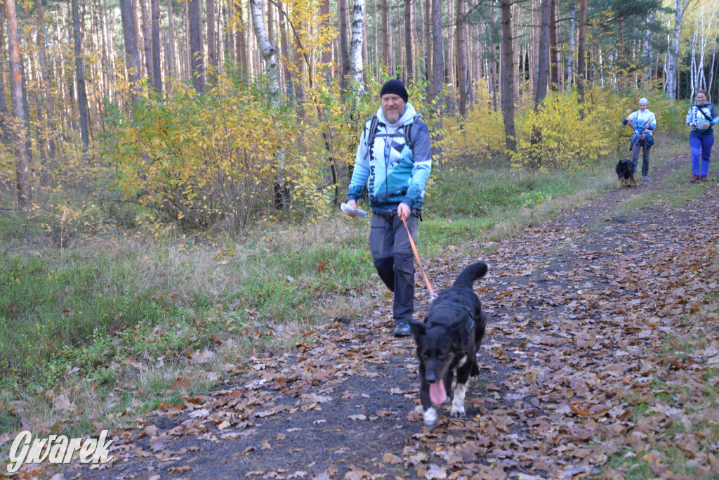 Tarnowskie Góry. Zwycięzcy do adopcji!