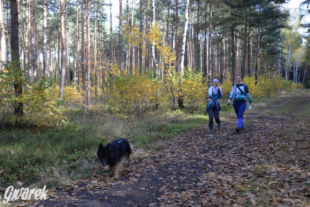 Tarnowskie Góry. Zwycięzcy do adopcji!