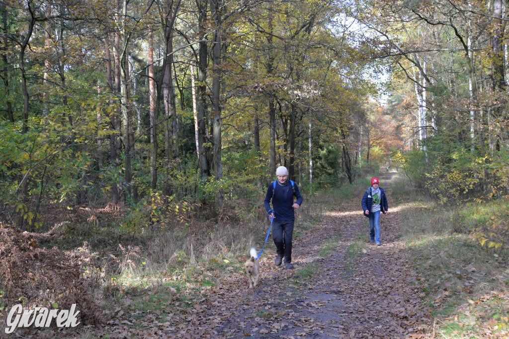 Tarnowskie Góry. Zwycięzcy do adopcji!