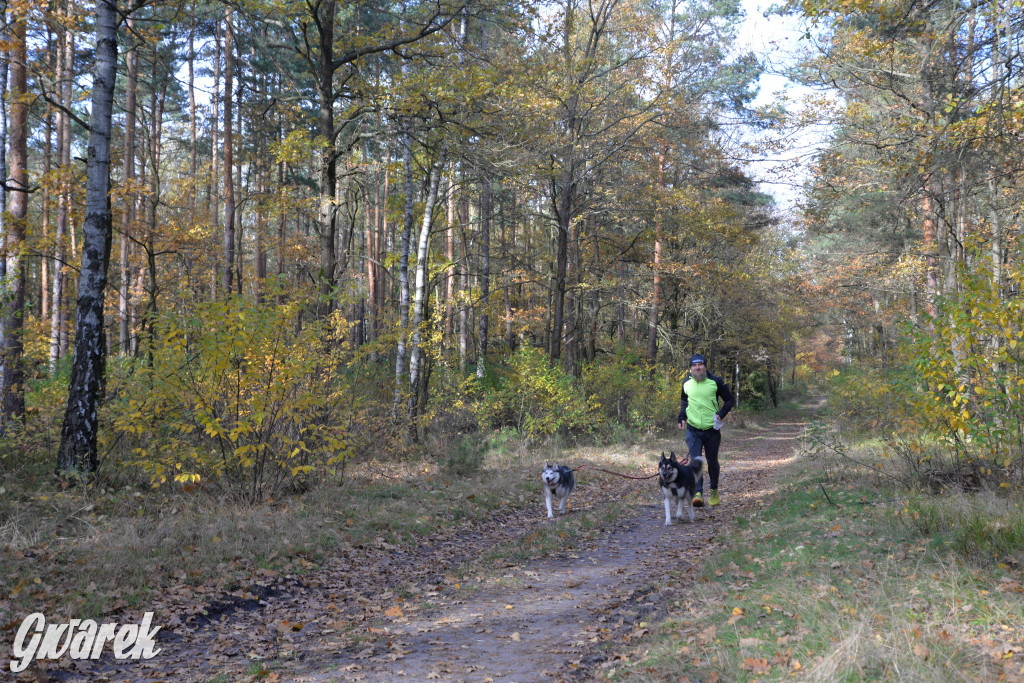 Tarnowskie Góry. Zwycięzcy do adopcji!