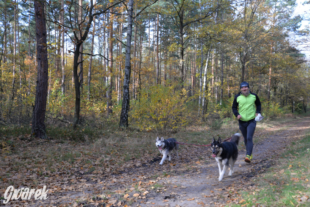 Tarnowskie Góry. Zwycięzcy do adopcji!