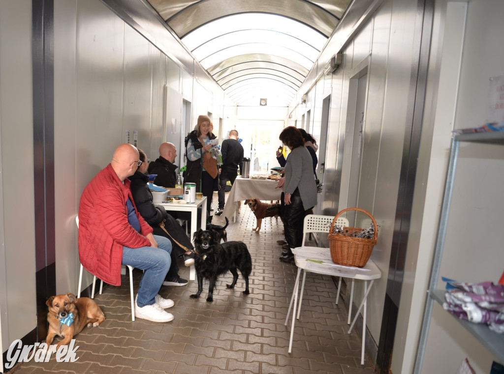 Tarnowskie Góry. Zwycięzcy do adopcji!