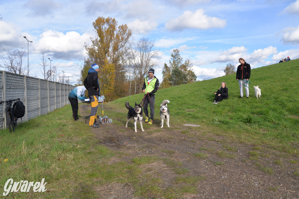 Tarnowskie Góry. Zwycięzcy do adopcji!
