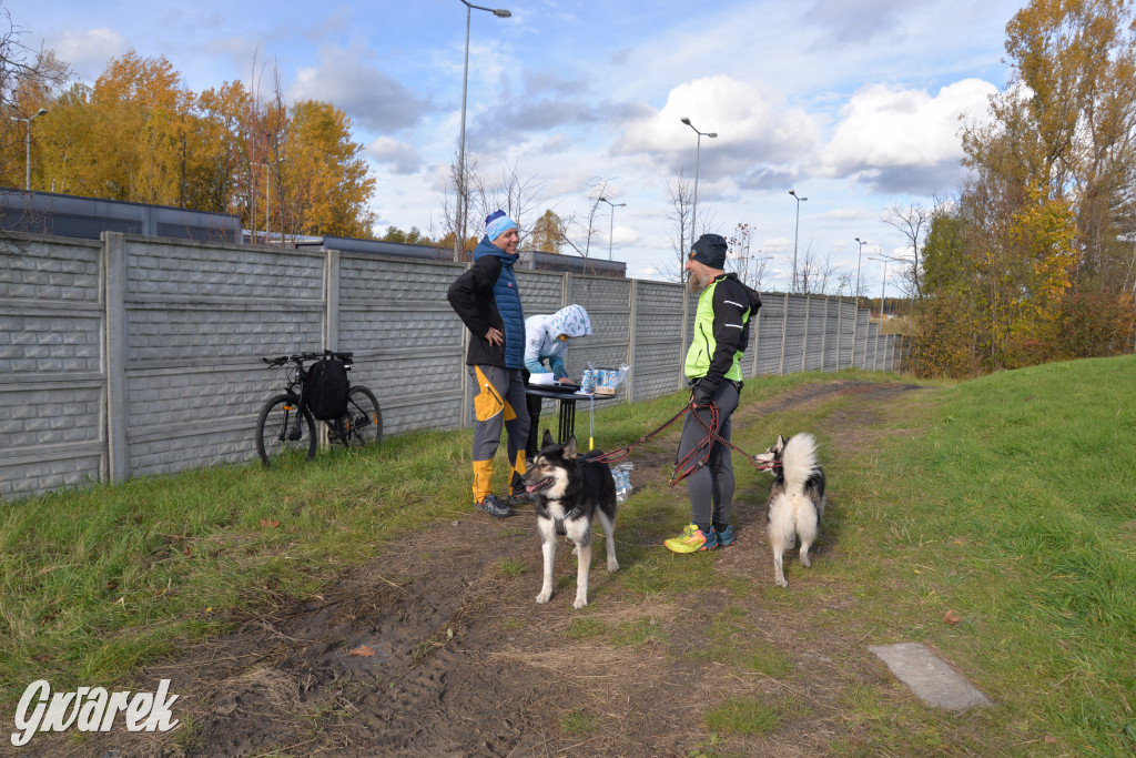 Tarnowskie Góry. Zwycięzcy do adopcji!