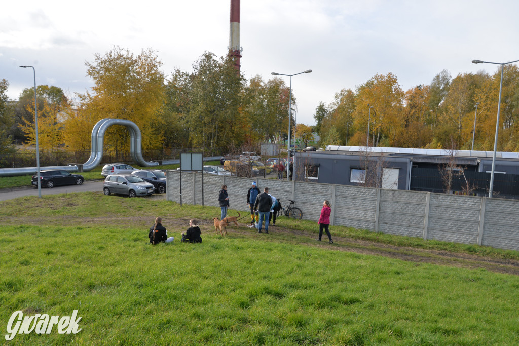 Tarnowskie Góry. Zwycięzcy do adopcji!