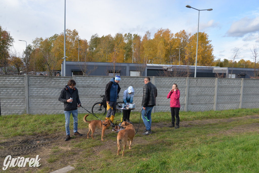 Tarnowskie Góry. Zwycięzcy do adopcji!