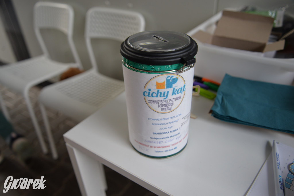 Tarnowskie Góry. Zwycięzcy do adopcji!