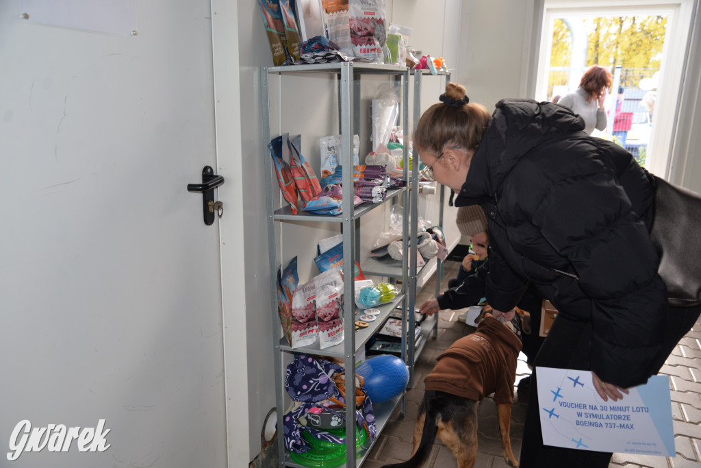 Tarnowskie Góry. Zwycięzcy do adopcji!