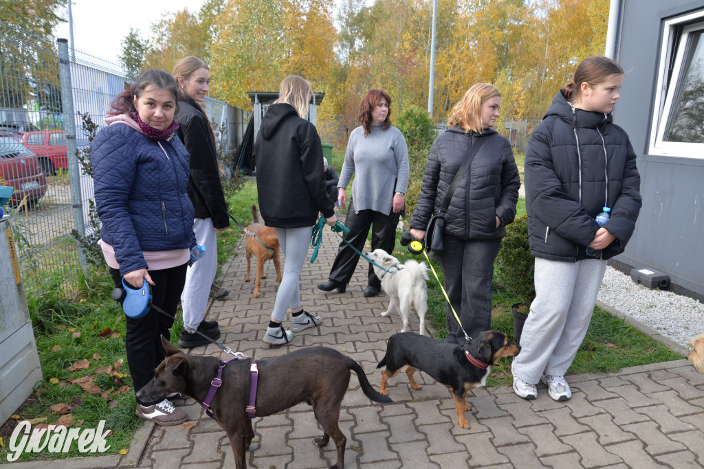 Tarnowskie Góry. Zwycięzcy do adopcji!