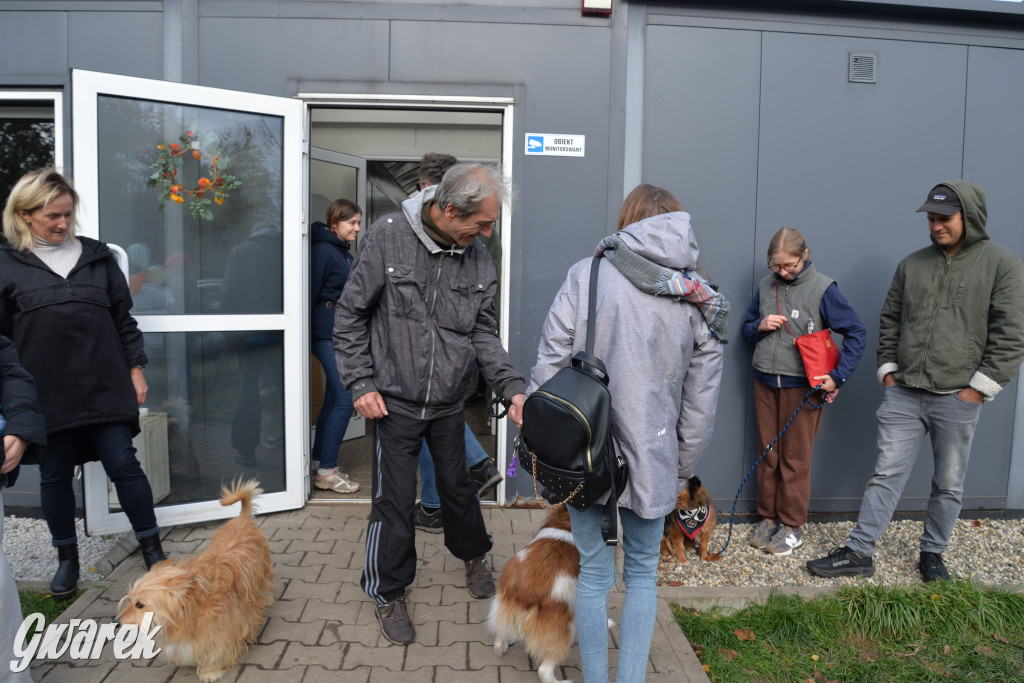 Tarnowskie Góry. Zwycięzcy do adopcji!