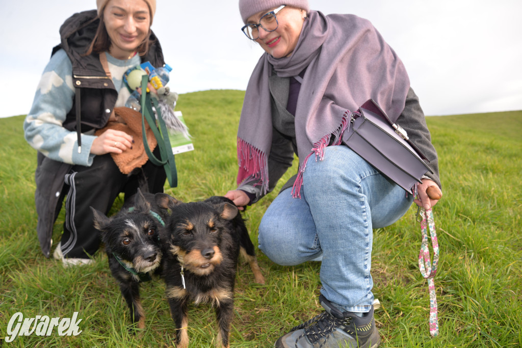 Tarnowskie Góry. Zwycięzcy do adopcji!