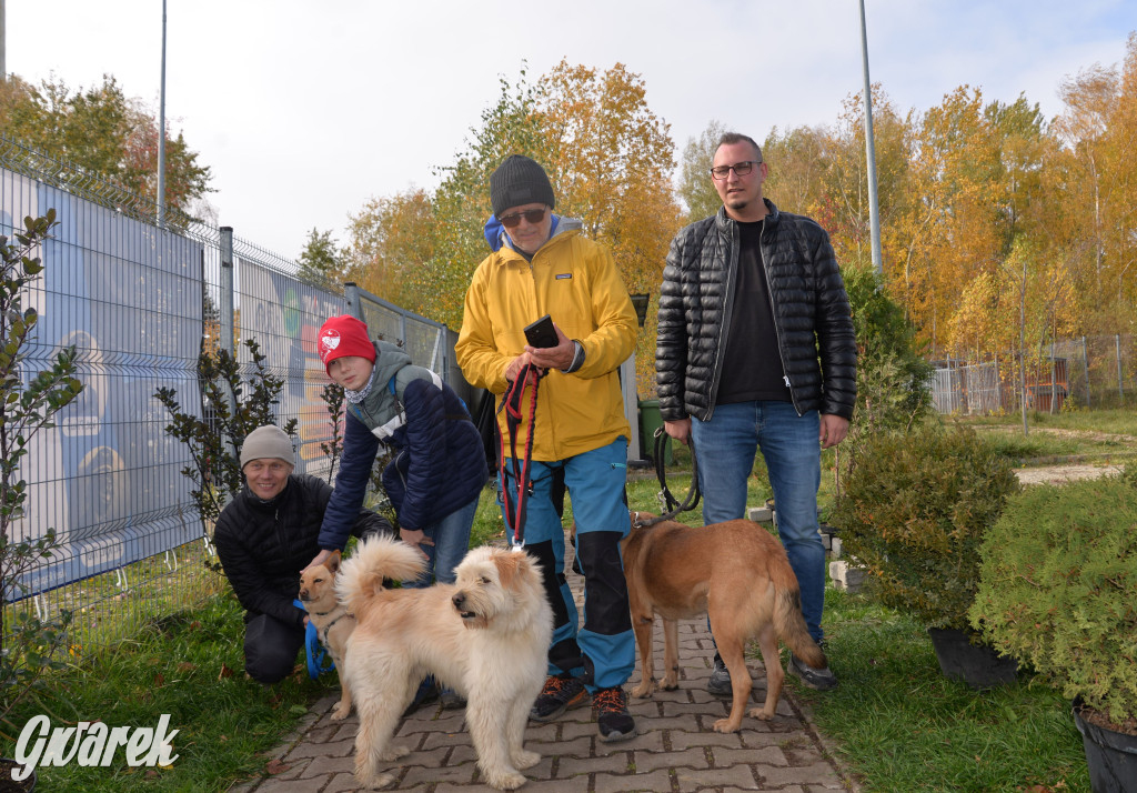 Tarnowskie Góry. Zwycięzcy do adopcji!