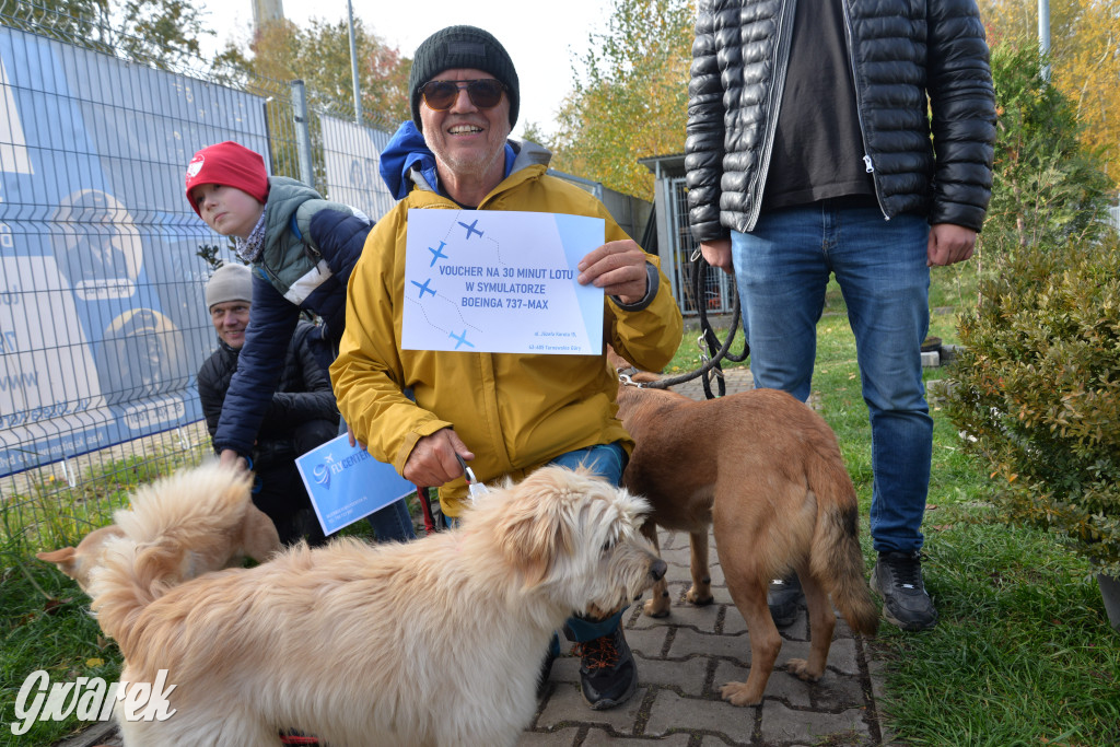 Tarnowskie Góry. Zwycięzcy do adopcji!