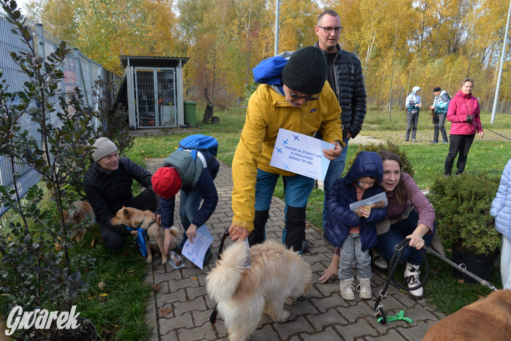 Tarnowskie Góry. Zwycięzcy do adopcji!