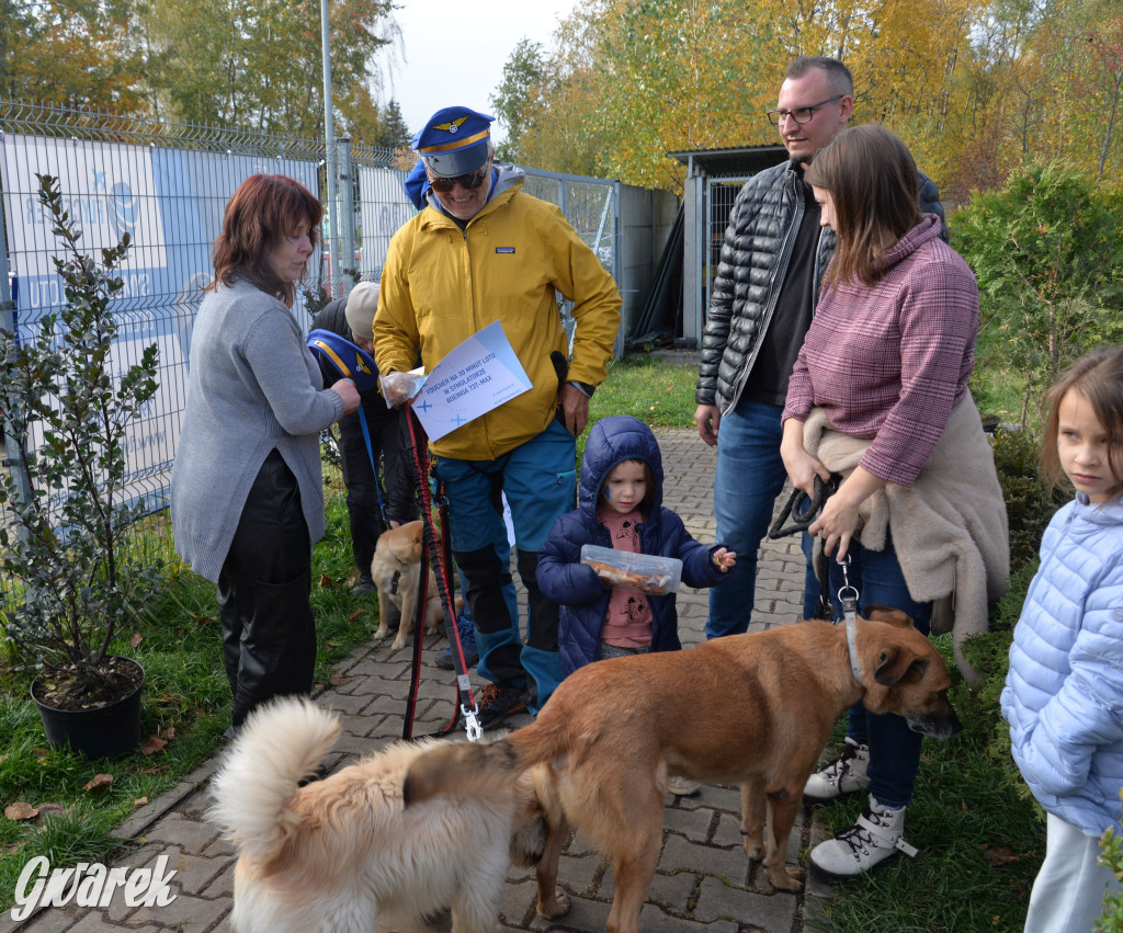 Tarnowskie Góry. Zwycięzcy do adopcji!