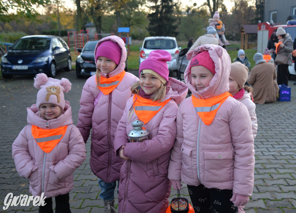 Repty Śląskie. Parada Lampionów po raz trzeci