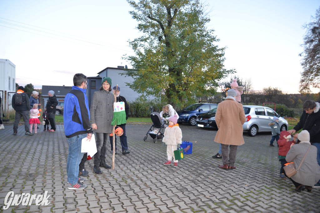 Repty Śląskie. Parada Lampionów po raz trzeci