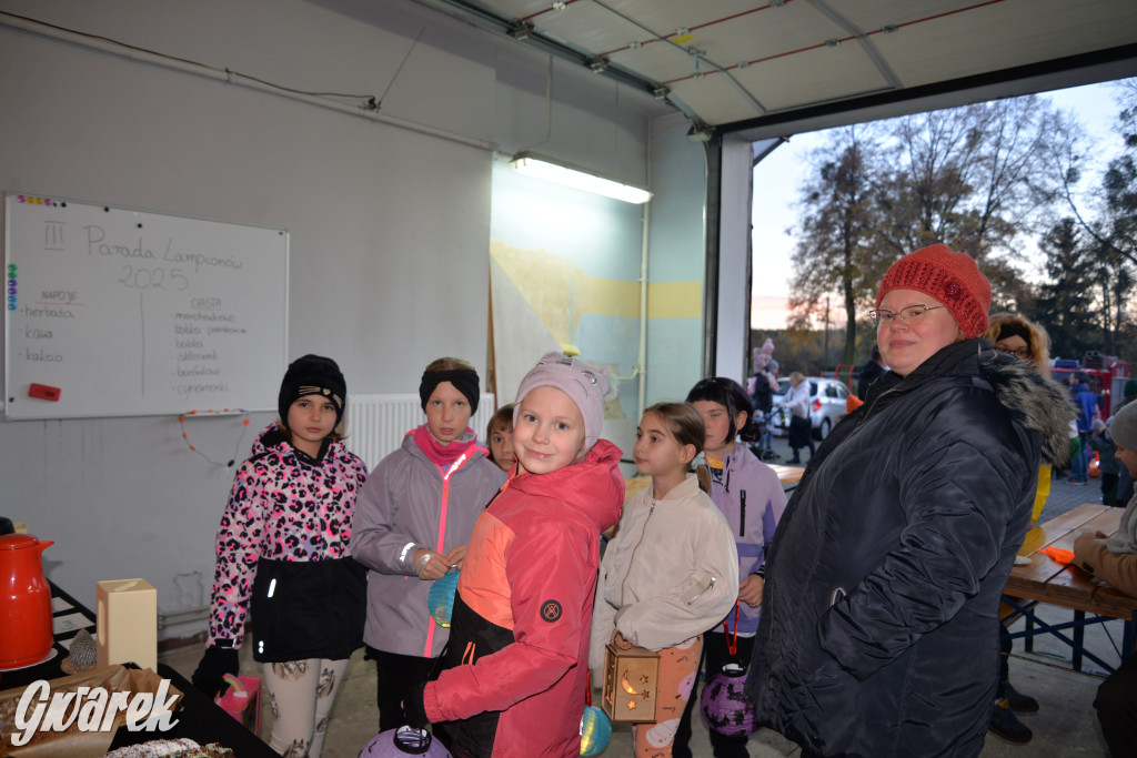 Repty Śląskie. Parada Lampionów po raz trzeci