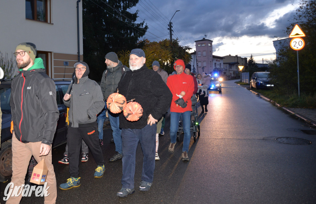 Repty Śląskie. Parada Lampionów po raz trzeci