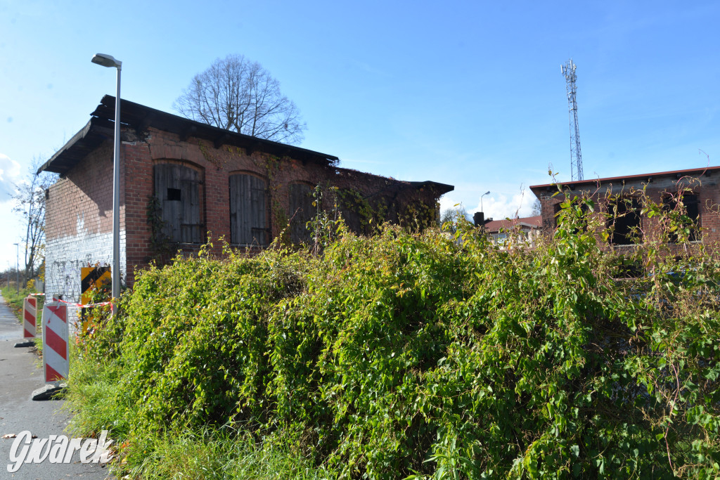 Tarnowskie Góry. Zdarzenie na ścieżce rowerowej