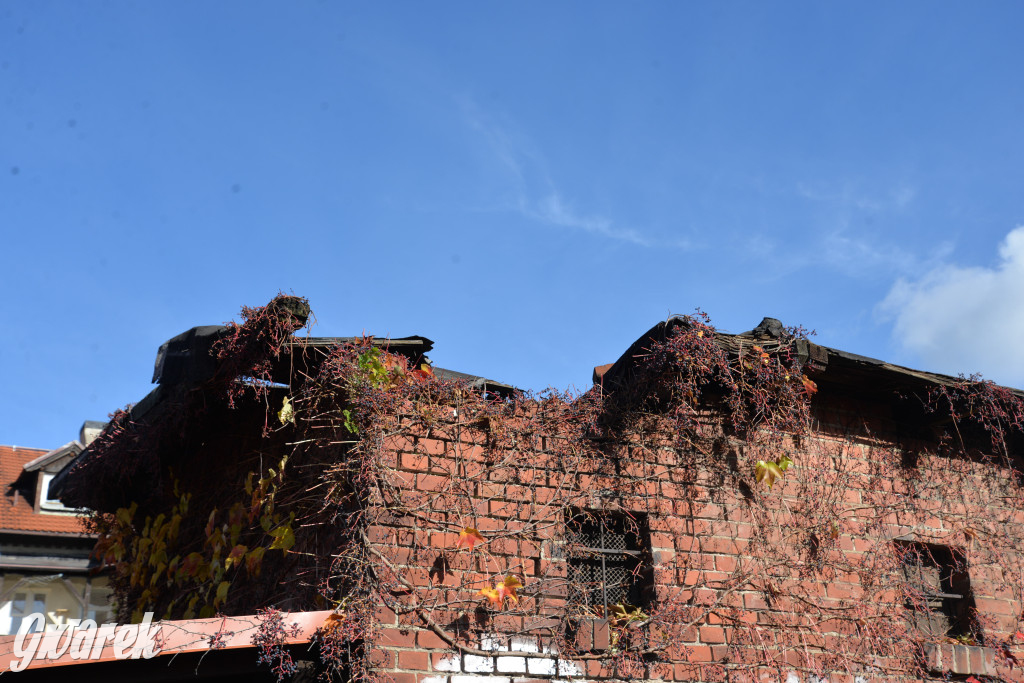 Tarnowskie Góry. Zdarzenie na ścieżce rowerowej