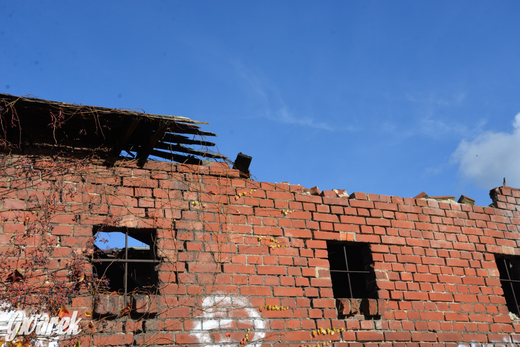 Tarnowskie Góry. Zdarzenie na ścieżce rowerowej