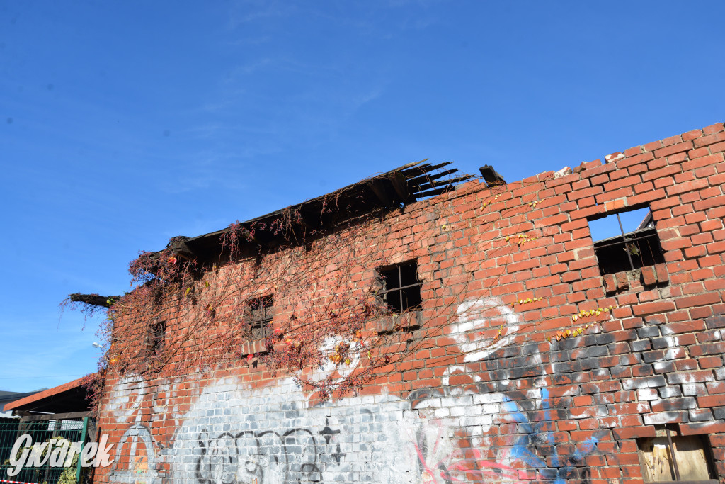 Tarnowskie Góry. Zdarzenie na ścieżce rowerowej