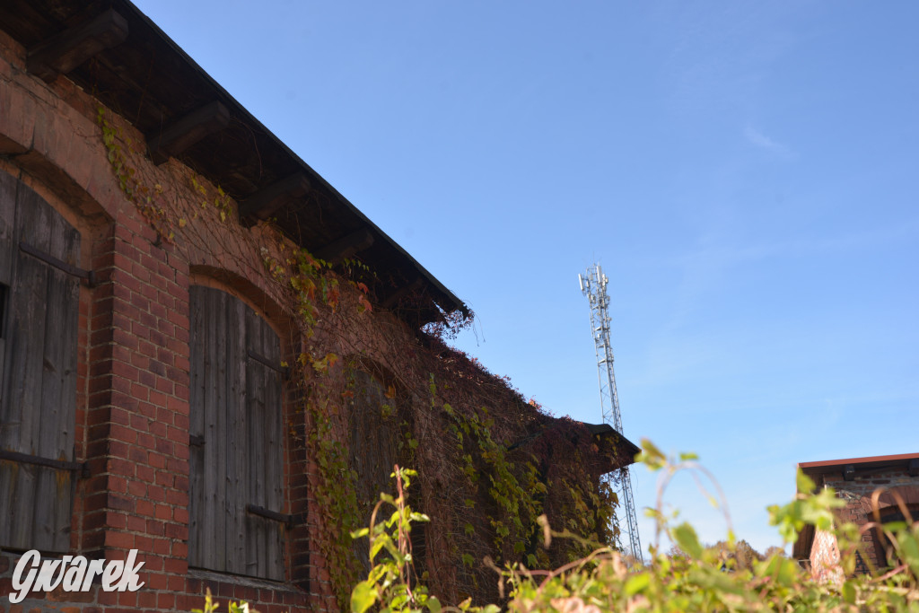 Tarnowskie Góry. Zdarzenie na ścieżce rowerowej