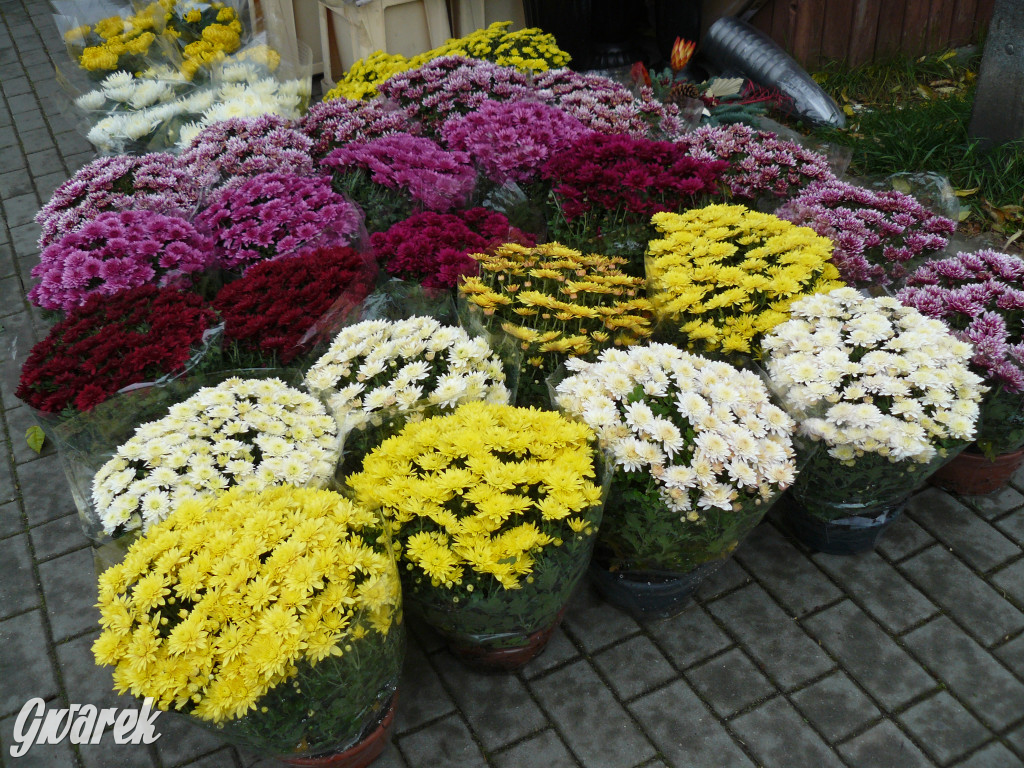 Wszystkich Świętych tuż, tuż. Ruch na cmentarzach