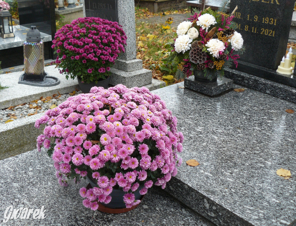 Wszystkich Świętych tuż, tuż. Ruch na cmentarzach