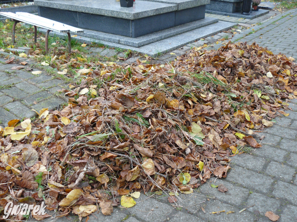 Wszystkich Świętych tuż, tuż. Ruch na cmentarzach